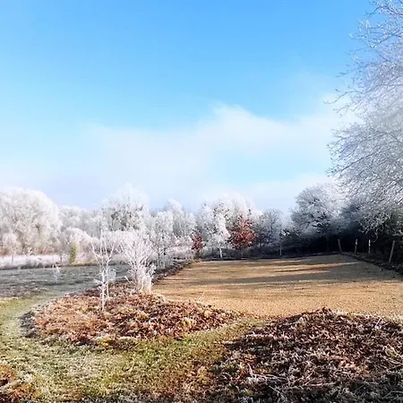 De Hobbit Insolite Proche Futuroscope - Nature&calme *