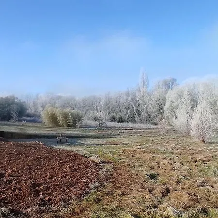 De Hobbit Insolite Proche Futuroscope - Nature & Calme Σπίτι διακοπών